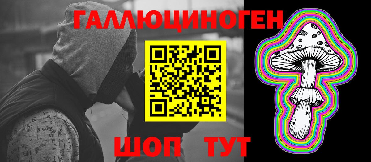 Псилоцибиновые грибы Psilocybe Татарск