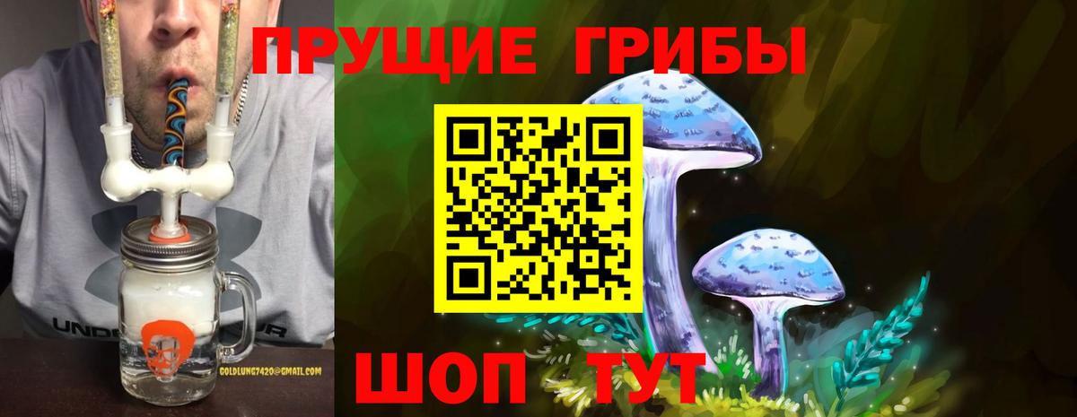 Псилоцибиновые грибы MAGIC MUSHROOMS  Галлюциногенные грибы мухоморы  Вход с VPN  как найти закладки  Татарск 