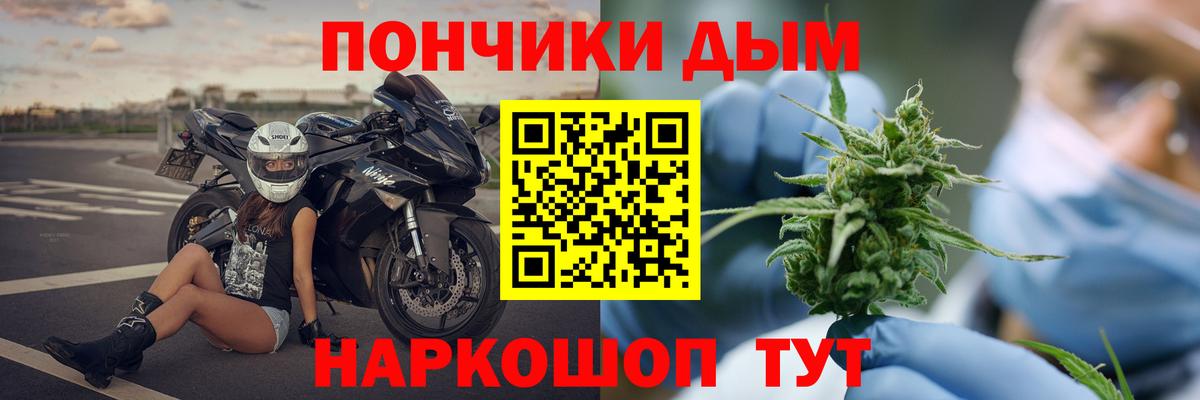 Бошки Шишки гибрид Татарск